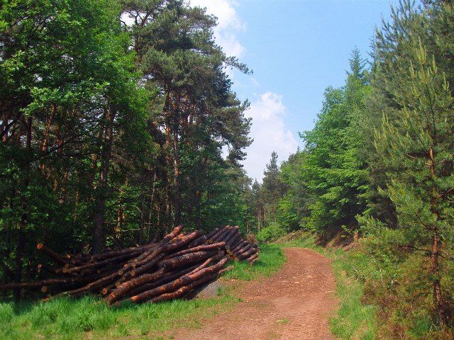 der Himmel ist wieder blau der Himmel ist wieder blau