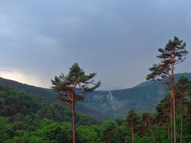 doch schon zieht das nächste Gewitter hinauf doch schon zieht das nächste Gewitter hinauf