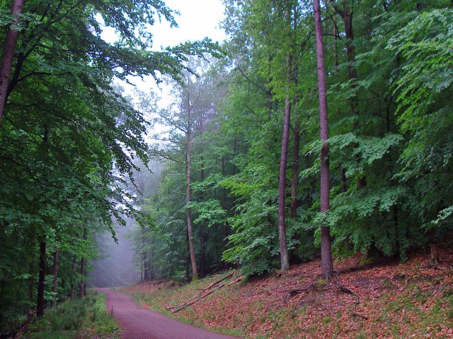 Lichtstimmung nach dem Regen Lichtstimmung nach dem Regen