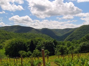 Ahrtaler Gipfelfest 2012