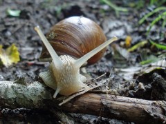 gemütlich unterwegs