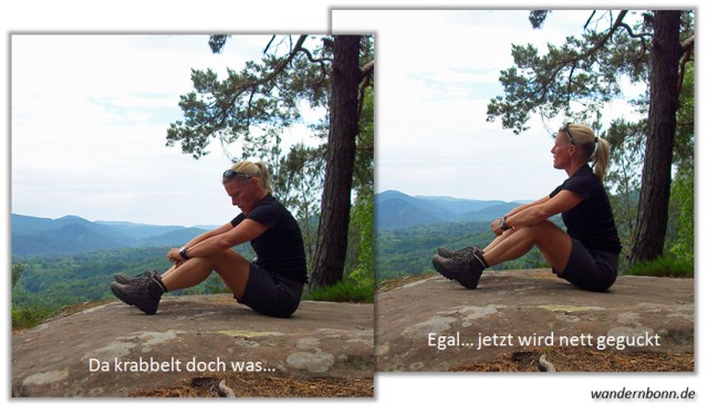 Auf dem Rimbach Steig