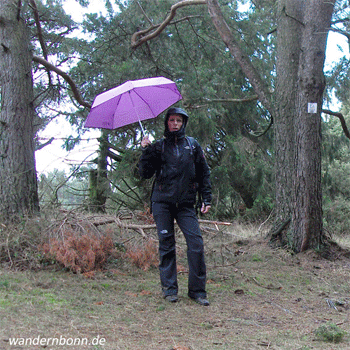 Mit Schirm, Charme & Gore-Tex