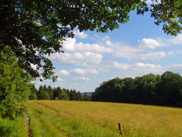 Wiesenweg