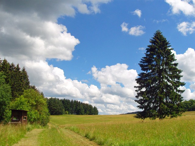 und wieder geht es über Wiesen hinauf