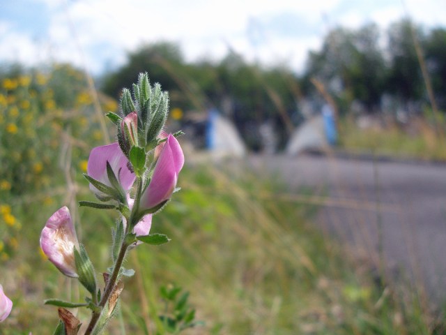 nach der Brücke - Blick zurück