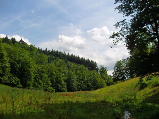 im Laubachtal - diesmal liegt der Bach im Schatten
