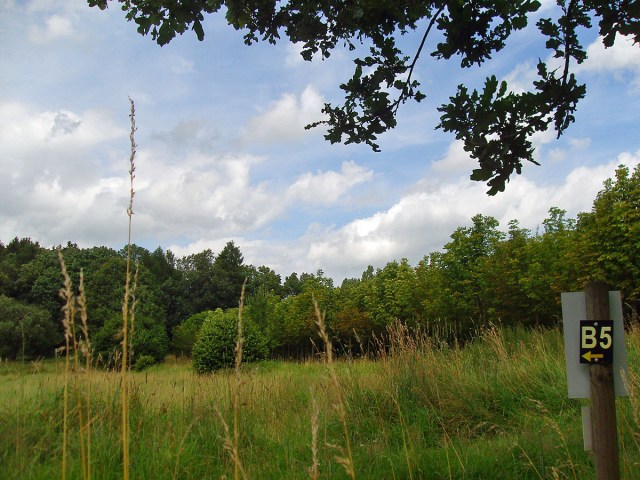 Wiesenpfad vor dem Birkenhof