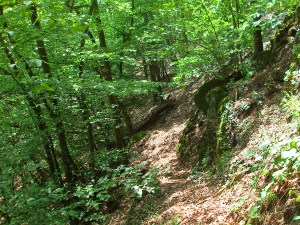 schmaler Pfad am Hang entlang