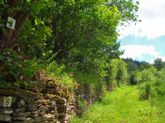 Wiesenpfade entlang alter Mauern Wiesenpfade entlang alter Mauern