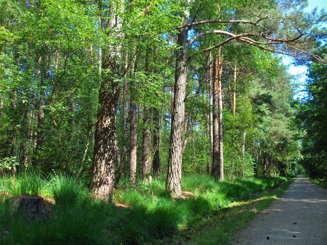 Hier führt auch der Erlebnisweg Sieg entlang