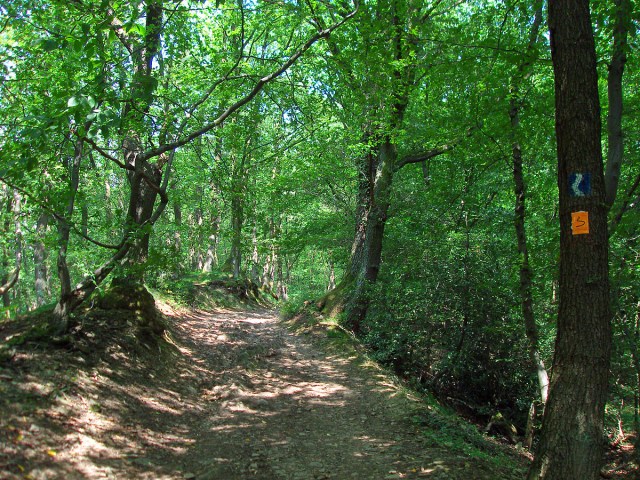 Rheinsteig und Bergischer Weg