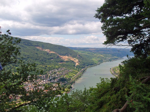 Rheinblick