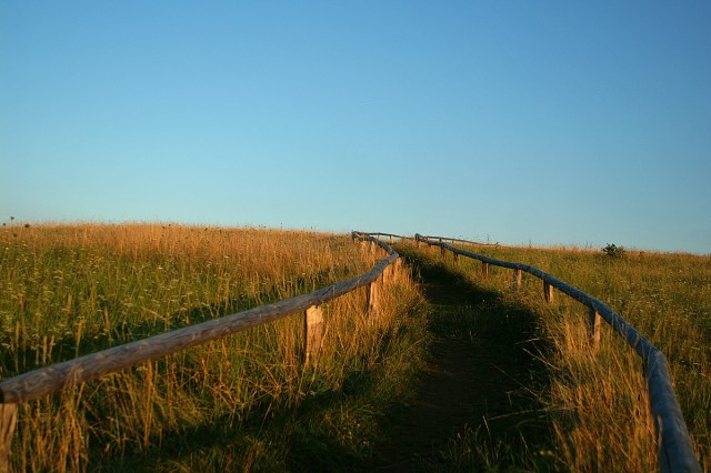 Typische Wegeführung auf dem Rodderberg