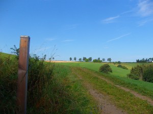 Vulkaneifel-Pfad VulkaMaar-Pfad