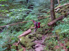 Die Wolfsschlucht Die Wolfsschlucht
