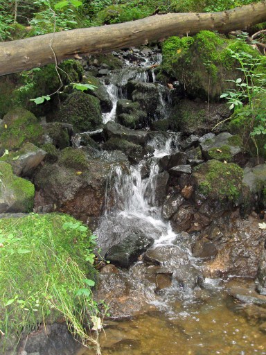 die kleine Kyll - erst zaghaft die kleine Kyll - erst zaghaft