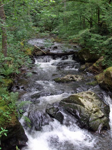 und dann umso wilder und dann umso wilder