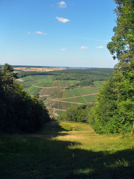 An der Paragliding Wiese - der Blick ins Tal