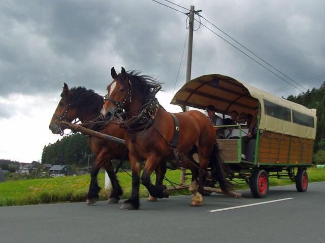 Mit fröhlichem Hufgeklapper zog diese Kutsche an uns vorbei