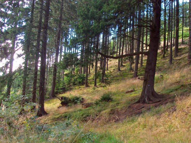 die letzte Schleife bot nochmal Naturerlebnisse