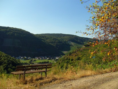 Spätsommer im Ahrtal