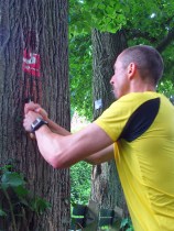 der Baum wird vorbereitet