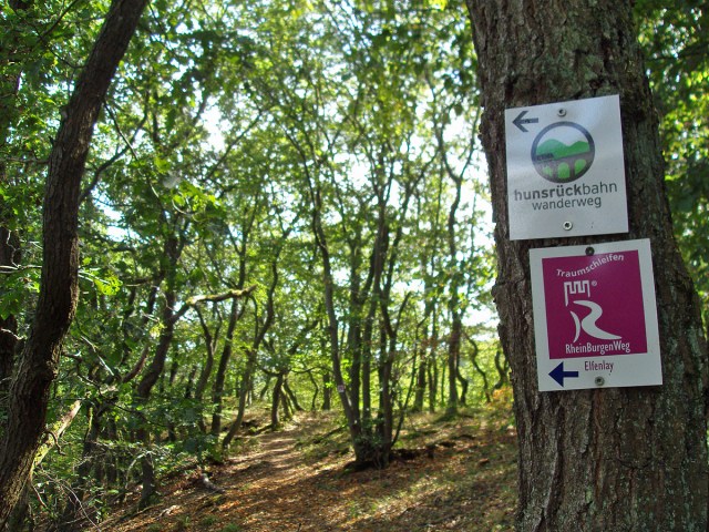Elfenlay und Hunsrückbahn Wanderweg 