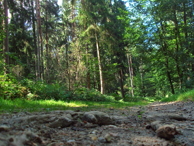 Die ersten Kilometer