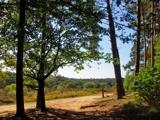 Es geht in die Wahner Heide