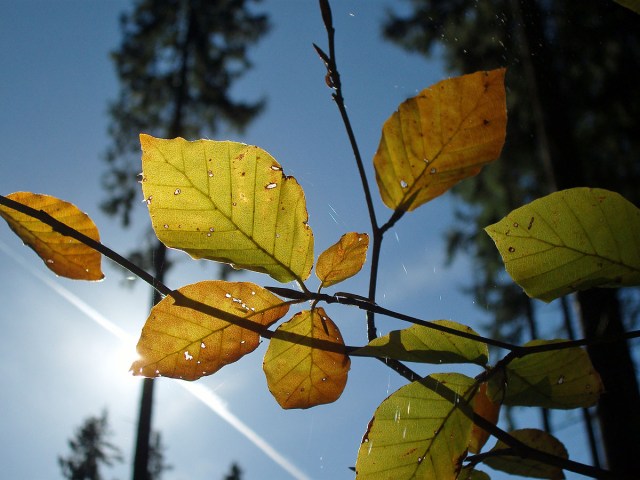 bunte Farben bunte Farben