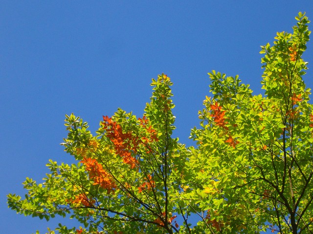 Bring Farbe ins Leben Bring Farbe ins Leben