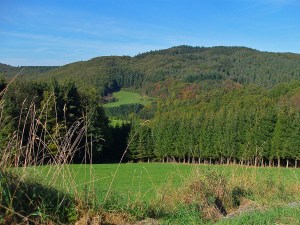 Wiesen und Weitblick