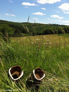 Im Juni in der Eifel