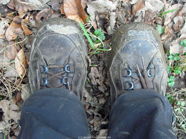 März 2012 - im Ahrtal