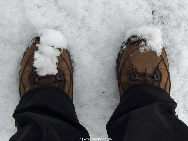 Dezember 2011 - noch unbehandelt im Schnee