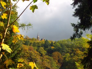 Grauer Himmel und Sonne auf dem Laub