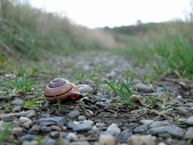 jemand zuhause? jemand zuhause?