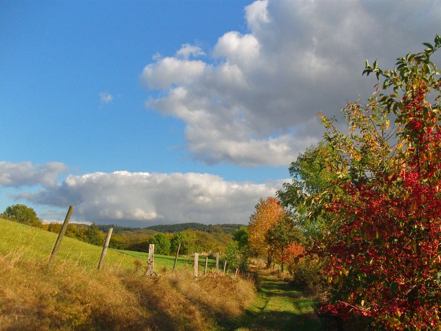 Bunt - Bunter - Herbst Bunt - Bunter - Herbst