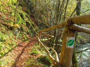 Dieses Zeichen ist unser stetiger Begleiter