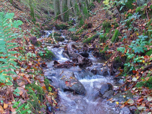 ein Bach am Wegesrand