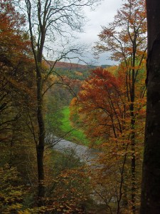 Wieder der Bick auf die Our