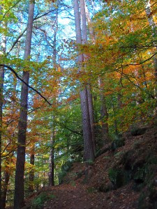 Bunte Pfade an den Felsen