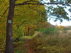 Wiesenpfade oberhalb von Ferschweiler