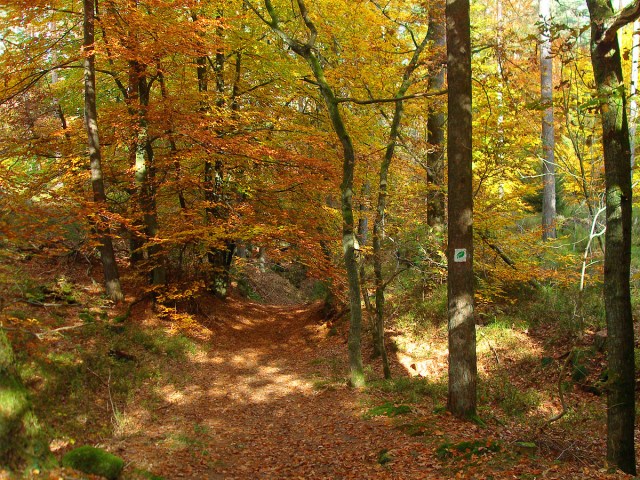 Wege die zum träumen einladen