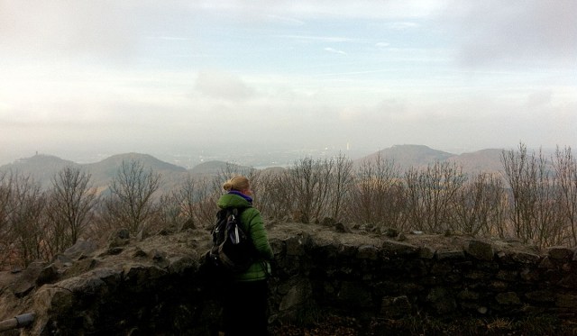 Blick von der Löwenburg auf das Siebengebirge