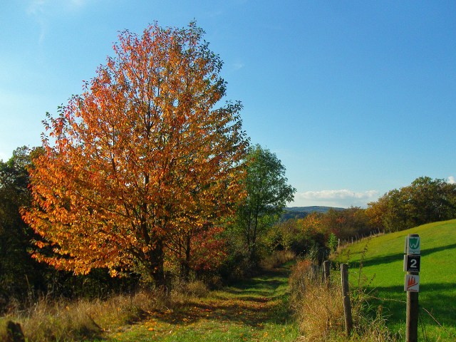 Wiedtaler Höhenpfad