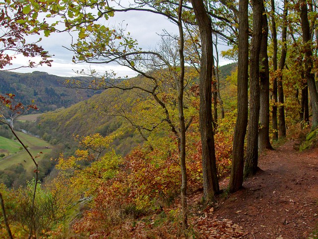 später gibt es auch solche Pfade