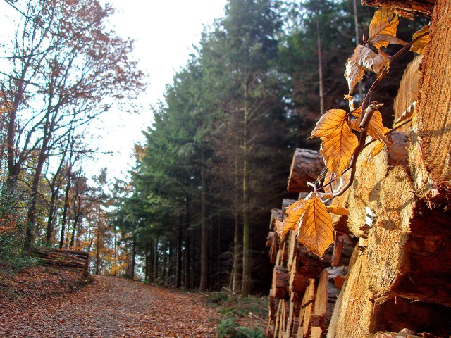 Zwischendurch ließ sich auch mal die Sonne blicken