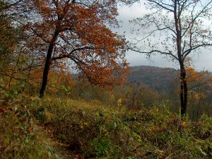 schmale Pfade mit Ausblick